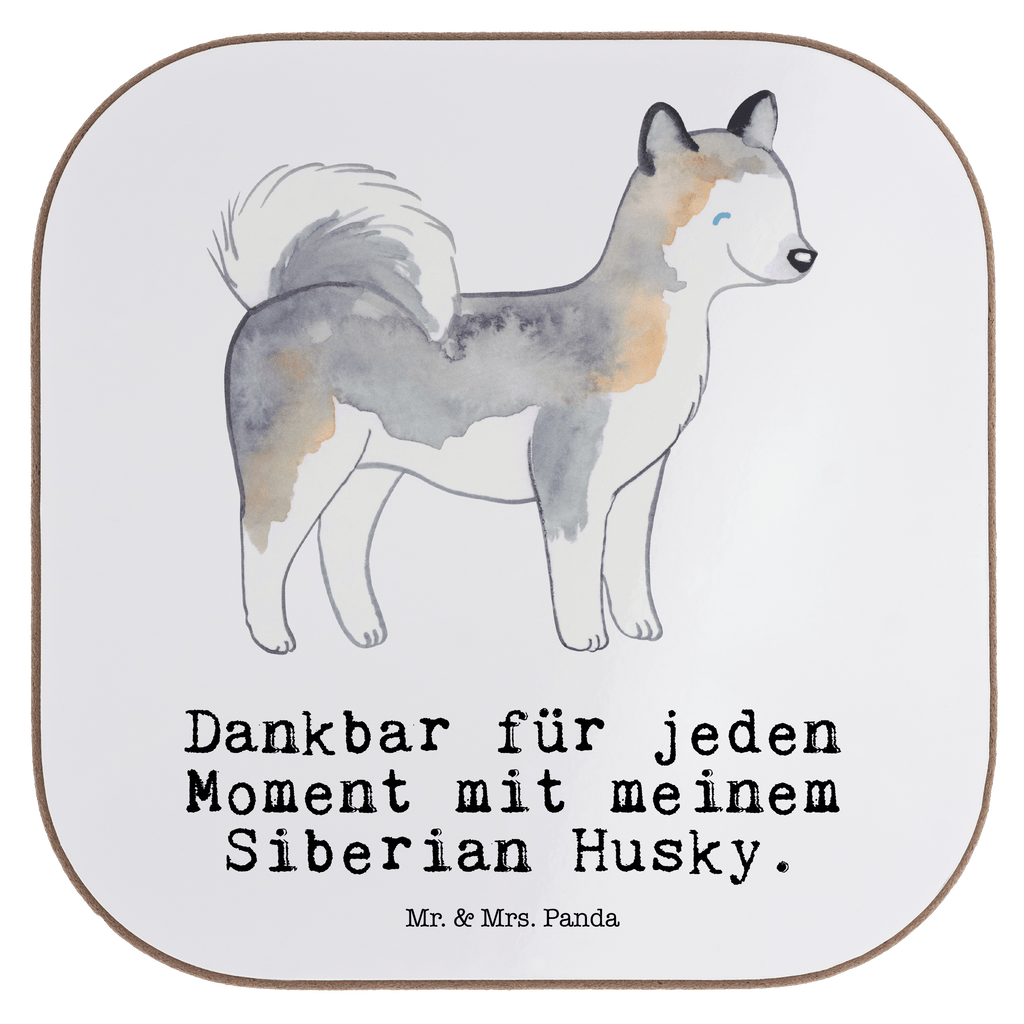 Quadratische Untersetzer Siberian Husky Moment Untersetzer, Bierdeckel, Glasuntersetzer, Untersetzer Gläser, Getränkeuntersetzer, Untersetzer aus Holz, Untersetzer für Gläser, Korkuntersetzer, Untersetzer Holz, Holzuntersetzer, Tassen Untersetzer, Untersetzer Design, Hund, Hunderasse, Rassehund, Hundebesitzer, Geschenk, Tierfreund, Schenken, Welpe, Siberian Husky