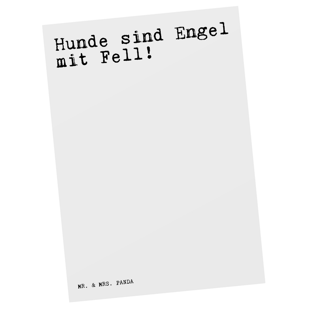 Postkarte Sprüche und Zitate Hunde sind Engel mit Fell! Postkarte, Karte, Geschenkkarte, Grußkarte, Einladung, Ansichtskarte, Geburtstagskarte, Einladungskarte, Dankeskarte, Ansichtskarten, Einladung Geburtstag, Einladungskarten Geburtstag, Spruch, Sprüche, lustige Sprüche, Weisheiten, Zitate, Spruch Geschenke, Spruch Sprüche Weisheiten Zitate Lustig Weisheit Worte