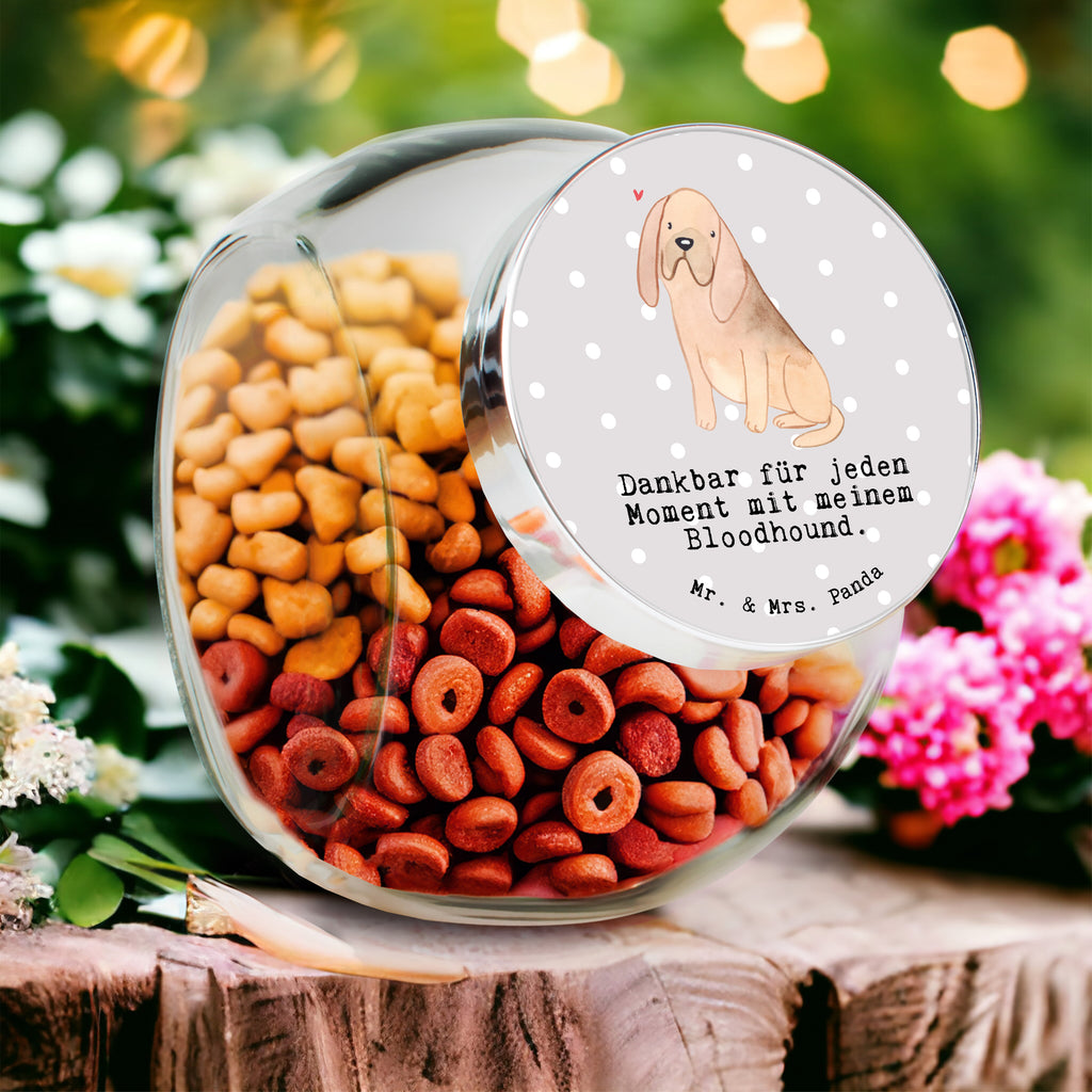 Leckerli Glas Bloodhound Moment Leckerli Glas, Leckerli Glas Hund, Leckerli Glas Katze, Leckerli Dose, Hundeleckerlies Behälter, Hund, Hunderasse, Rassehund, Hundebesitzer, Geschenk, Tierfreund, Schenken, Welpe, Bluthund, Bloodhound, St. Hubertushund, Chien de Saint Hubert