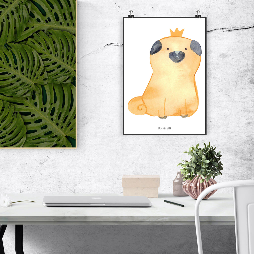 Poster Mops Krone Poster, Wandposter, Bild, Wanddeko, Küchenposter, Kinderposter, Wanddeko Bild, Raumdekoration, Wanddekoration, Handgemaltes Poster, Mr. & Mrs. Panda Poster, Designposter, Kunstdruck, Posterdruck, Hund, Hundemotiv, Haustier, Hunderasse, Tierliebhaber, Hundebesitzer, Sprüche, Mops, allergisch, kinderlos, Hausregel, Hundebesitzer. Spruch, lustig