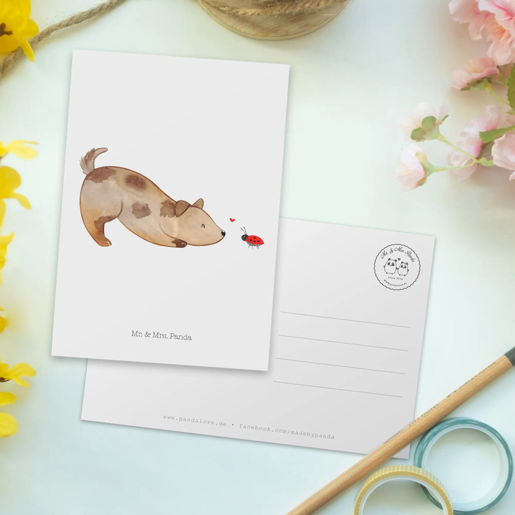 Postkarte Hund Marienkäfer Postkarte, Karte, Geschenkkarte, Grußkarte, Einladung, Ansichtskarte, Geburtstagskarte, Einladungskarte, Dankeskarte, Ansichtskarten, Einladung Geburtstag, Einladungskarten Geburtstag, Hund, Hundemotiv, Haustier, Hunderasse, Tierliebhaber, Hundebesitzer, Sprüche, Hunde, Hundespruch, Marienkäfer, Mischling, Mischlinghund