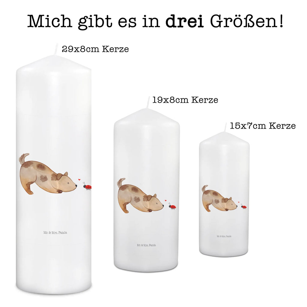 Kerze Hund Marienkäfer Kerze, Taufkerze, Kommunionskerze, Geburtstagskerze, Geschenk Kerze, Taufgeschenk Kerze, Kerze mit Druck, Besondere Kerze, Geschenkidee Kerze, Kerze für Kommunion, Geburtstag Kerze, Kommunion Kerze, Hund, Hundemotiv, Haustier, Hunderasse, Tierliebhaber, Hundebesitzer, Sprüche, Hunde, Hundespruch, Marienkäfer, Mischling, Mischlinghund