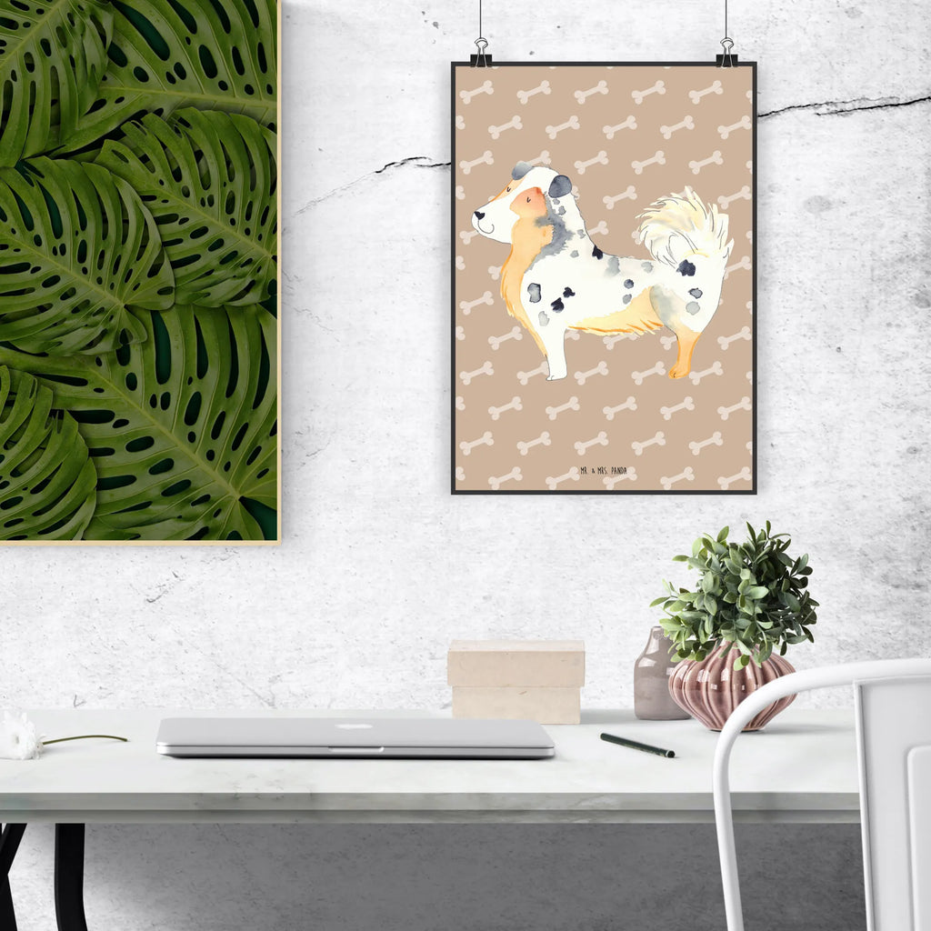 Poster Hund Australien Shepherd Poster, Wandposter, Bild, Wanddeko, Küchenposter, Kinderposter, Wanddeko Bild, Raumdekoration, Wanddekoration, Handgemaltes Poster, Mr. & Mrs. Panda Poster, Designposter, Kunstdruck, Posterdruck, Hund, Hundemotiv, Haustier, Hunderasse, Tierliebhaber, Hundebesitzer, Sprüche, Australien Shepherd, Shepherd, Hundeliebe, Familienhund, Spruch