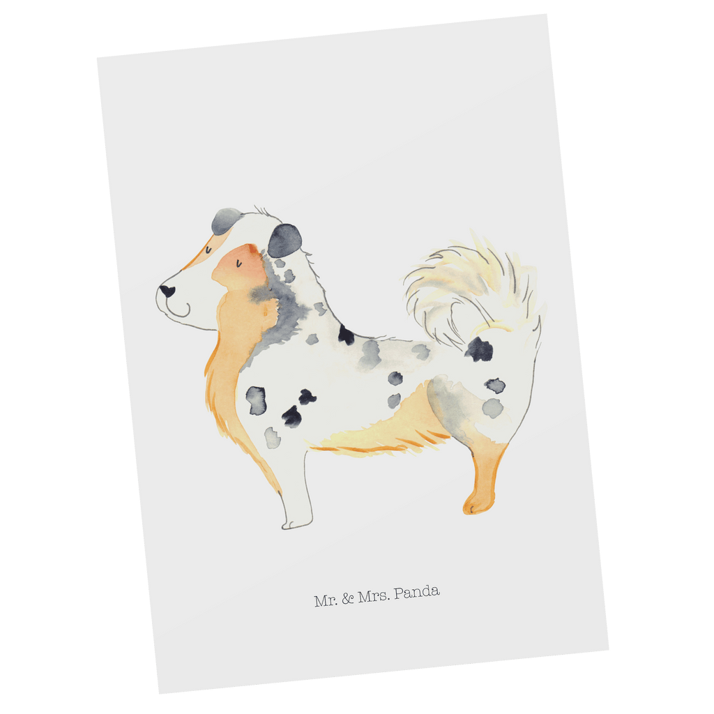 Postkarte Hund Australien Shepherd Postkarte, Karte, Geschenkkarte, Grußkarte, Einladung, Ansichtskarte, Geburtstagskarte, Einladungskarte, Dankeskarte, Ansichtskarten, Einladung Geburtstag, Einladungskarten Geburtstag, Hund, Hundemotiv, Haustier, Hunderasse, Tierliebhaber, Hundebesitzer, Sprüche, Australien Shepherd, Shepherd, Hundeliebe, Familienhund, Spruch