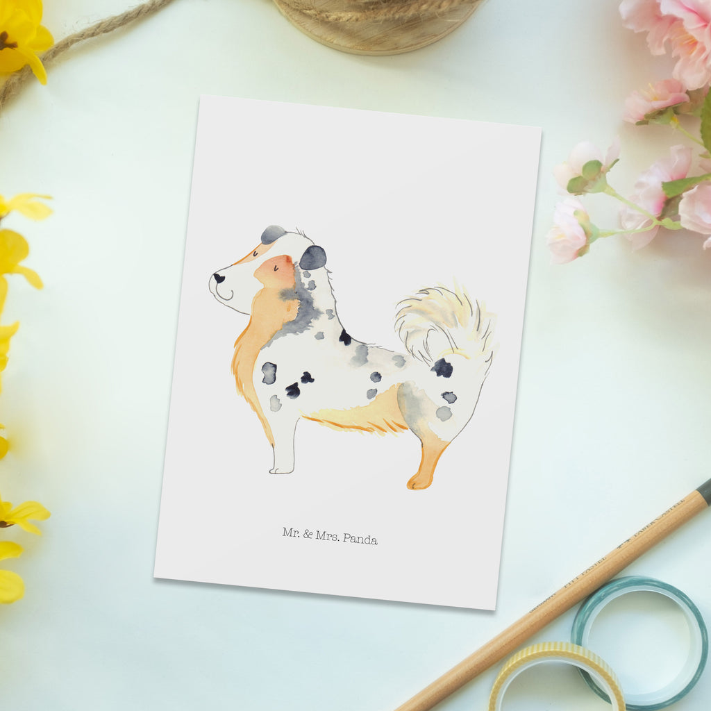 Postkarte Hund Australien Shepherd Postkarte, Karte, Geschenkkarte, Grußkarte, Einladung, Ansichtskarte, Geburtstagskarte, Einladungskarte, Dankeskarte, Ansichtskarten, Einladung Geburtstag, Einladungskarten Geburtstag, Hund, Hundemotiv, Haustier, Hunderasse, Tierliebhaber, Hundebesitzer, Sprüche, Australien Shepherd, Shepherd, Hundeliebe, Familienhund, Spruch