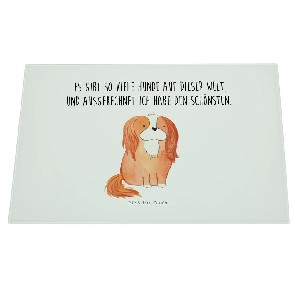 Glasschneidebrett Hund Cavalier King Charles Spaniel Glasschneidebrett, Schneidebrett, Hund, Hundemotiv, Haustier, Hunderasse, Tierliebhaber, Hundebesitzer, Sprüche, Cavalier King Charles Spaniel, Cockerspaniel, Spaniel, Spruch, schönster Hund