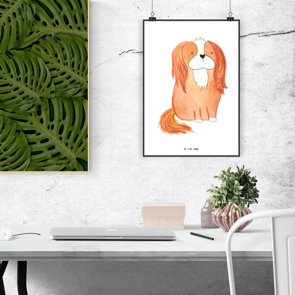 Poster Hund Cavalier King Charles Spaniel Poster, Wandposter, Bild, Wanddeko, Küchenposter, Kinderposter, Wanddeko Bild, Raumdekoration, Wanddekoration, Handgemaltes Poster, Mr. & Mrs. Panda Poster, Designposter, Kunstdruck, Posterdruck, Hund, Hundemotiv, Haustier, Hunderasse, Tierliebhaber, Hundebesitzer, Sprüche, Cavalier King Charles Spaniel, Cockerspaniel, Spaniel, Spruch, schönster Hund