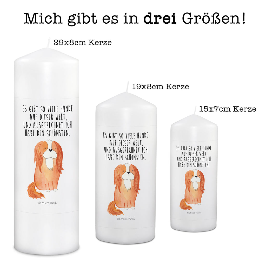 Kerze Cavalier King Charles Spaniel Kerze, Taufkerze, Kommunionskerze, Geburtstagskerze, Geschenk Kerze, Taufgeschenk Kerze, Kerze mit Druck, Besondere Kerze, Geschenkidee Kerze, Kerze für Kommunion, Geburtstag Kerze, Kommunion Kerze, Hund, Hundemotiv, Haustier, Hunderasse, Tierliebhaber, Hundebesitzer, Sprüche, Cavalier King Charles Spaniel, Cockerspaniel, Spaniel, Spruch, schönster Hund