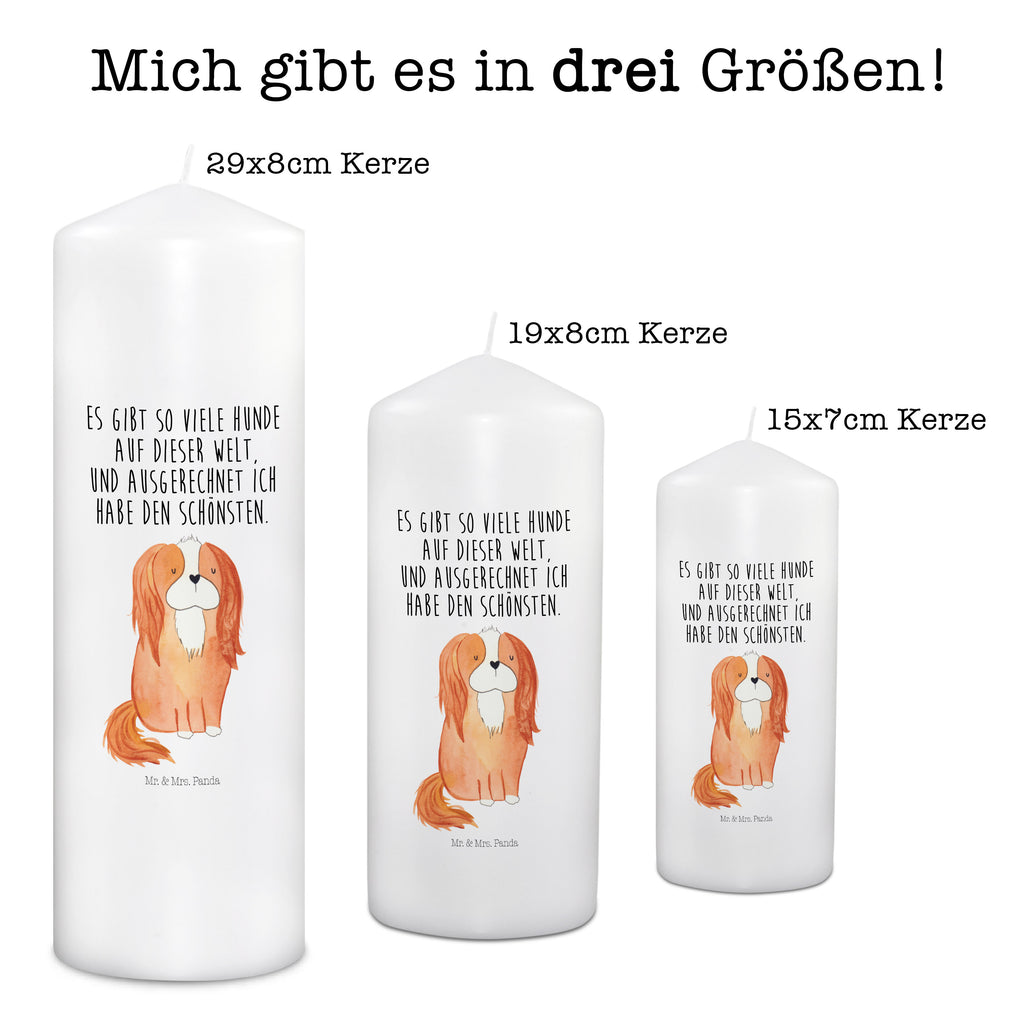 Kerze Cavalier King Charles Spaniel Kerze, Taufkerze, Kommunionskerze, Geburtstagskerze, Geschenk Kerze, Taufgeschenk Kerze, Kerze mit Druck, Besondere Kerze, Geschenkidee Kerze, Kerze für Kommunion, Geburtstag Kerze, Kommunion Kerze, Hund, Hundemotiv, Haustier, Hunderasse, Tierliebhaber, Hundebesitzer, Sprüche, Cavalier King Charles Spaniel, Cockerspaniel, Spaniel, Spruch, schönster Hund