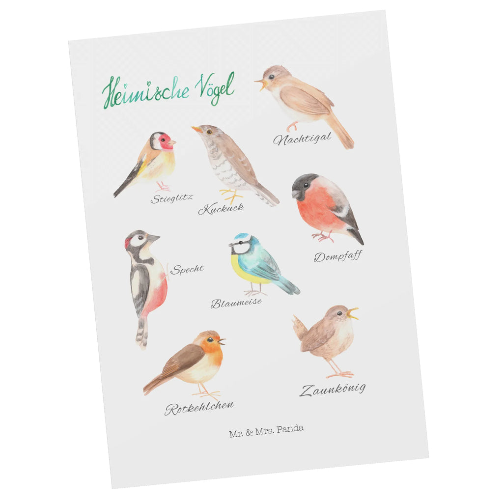 Postkarte Heimische Vögel Postkarte, Karte, Geschenkkarte, Grußkarte, Einladung, Ansichtskarte, Geburtstagskarte, Einladungskarte, Dankeskarte, Ansichtskarten, Einladung Geburtstag, Einladungskarten Geburtstag, Blumen Deko, Frühlings Deko, Sommer Deko, Dekoration, positive Botschaft, Naturliebhaber, Outdoor, Natur, Abenteuer, Vögel, Heimische Vögel