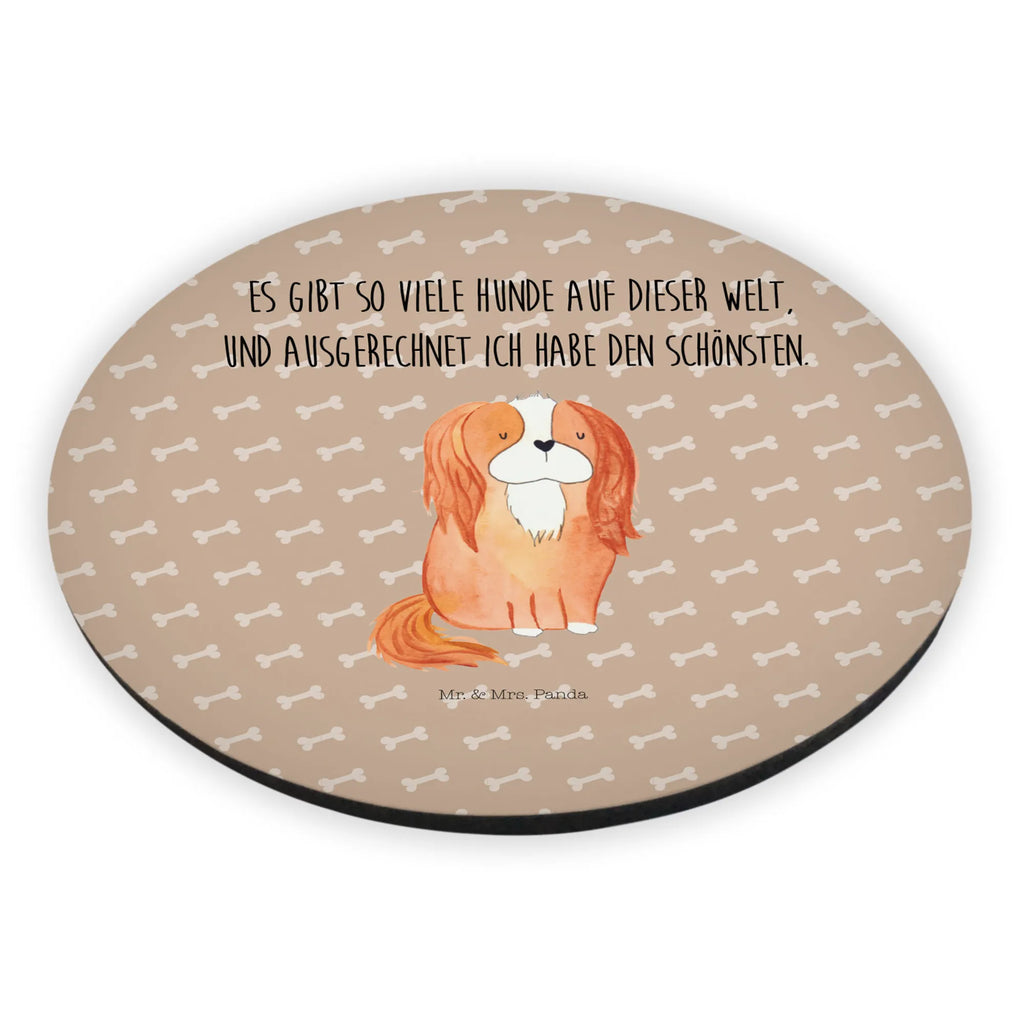 Rund Magnet Hund Cavalier King Charles Spaniel Kühlschrankmagnet, Pinnwandmagnet, Souvenir Magnet, Motivmagnete, Dekomagnet, Whiteboard Magnet, Notiz Magnet, Kühlschrank Dekoration, Hund, Hundemotiv, Haustier, Hunderasse, Tierliebhaber, Hundebesitzer, Sprüche, Cavalier King Charles Spaniel, Cockerspaniel, Spaniel, Spruch, schönster Hund