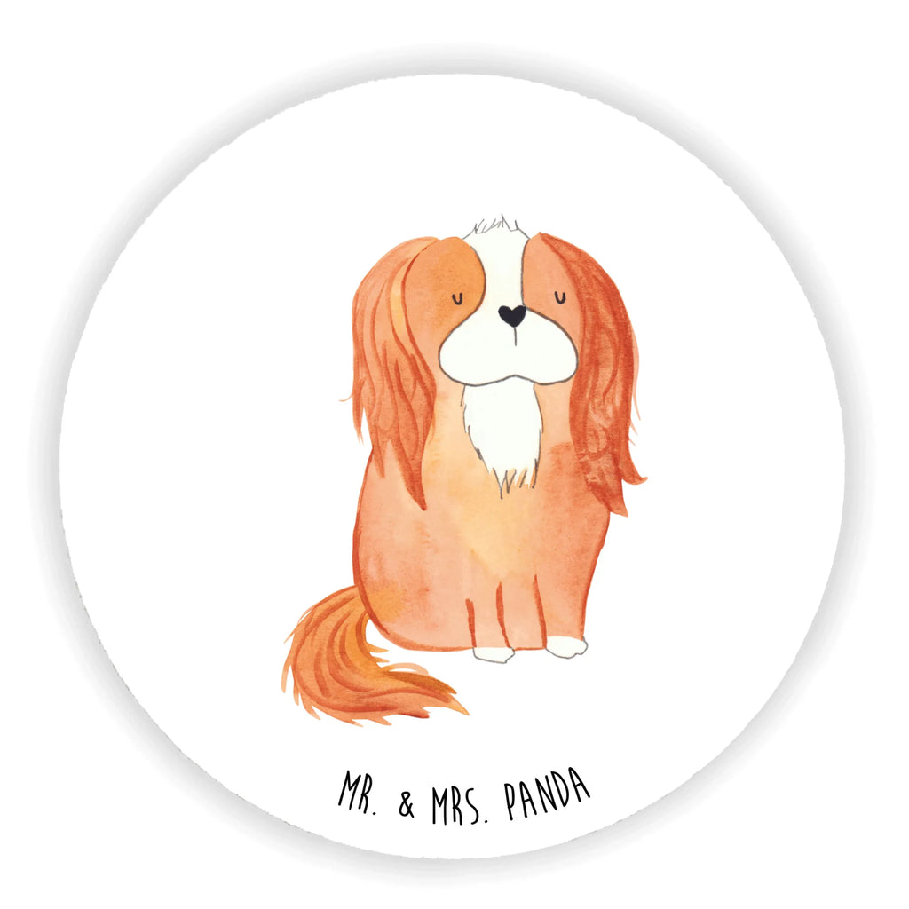 Rund Magnet Hund Cavalier King Charles Spaniel Kühlschrankmagnet, Pinnwandmagnet, Souvenir Magnet, Motivmagnete, Dekomagnet, Whiteboard Magnet, Notiz Magnet, Kühlschrank Dekoration, Hund, Hundemotiv, Haustier, Hunderasse, Tierliebhaber, Hundebesitzer, Sprüche, Cavalier King Charles Spaniel, Cockerspaniel, Spaniel, Spruch, schönster Hund