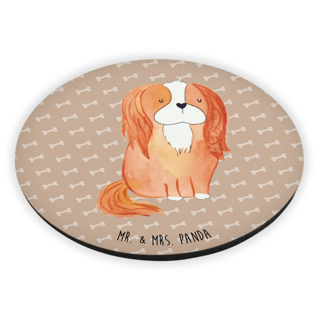 Rund Magnet Hund Cavalier King Charles Spaniel Kühlschrankmagnet, Pinnwandmagnet, Souvenir Magnet, Motivmagnete, Dekomagnet, Whiteboard Magnet, Notiz Magnet, Kühlschrank Dekoration, Hund, Hundemotiv, Haustier, Hunderasse, Tierliebhaber, Hundebesitzer, Sprüche, Cavalier King Charles Spaniel, Cockerspaniel, Spaniel, Spruch, schönster Hund