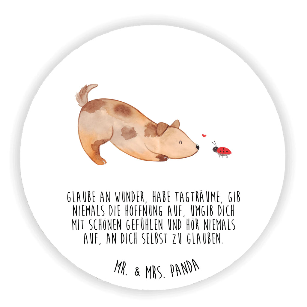 Rund Magnet Hund Marienkäfer Kühlschrankmagnet, Pinnwandmagnet, Souvenir Magnet, Motivmagnete, Dekomagnet, Whiteboard Magnet, Notiz Magnet, Kühlschrank Dekoration, Hund, Hundemotiv, Haustier, Hunderasse, Tierliebhaber, Hundebesitzer, Sprüche, Hunde, Hundespruch, Marienkäfer, Mischling, Mischlinghund