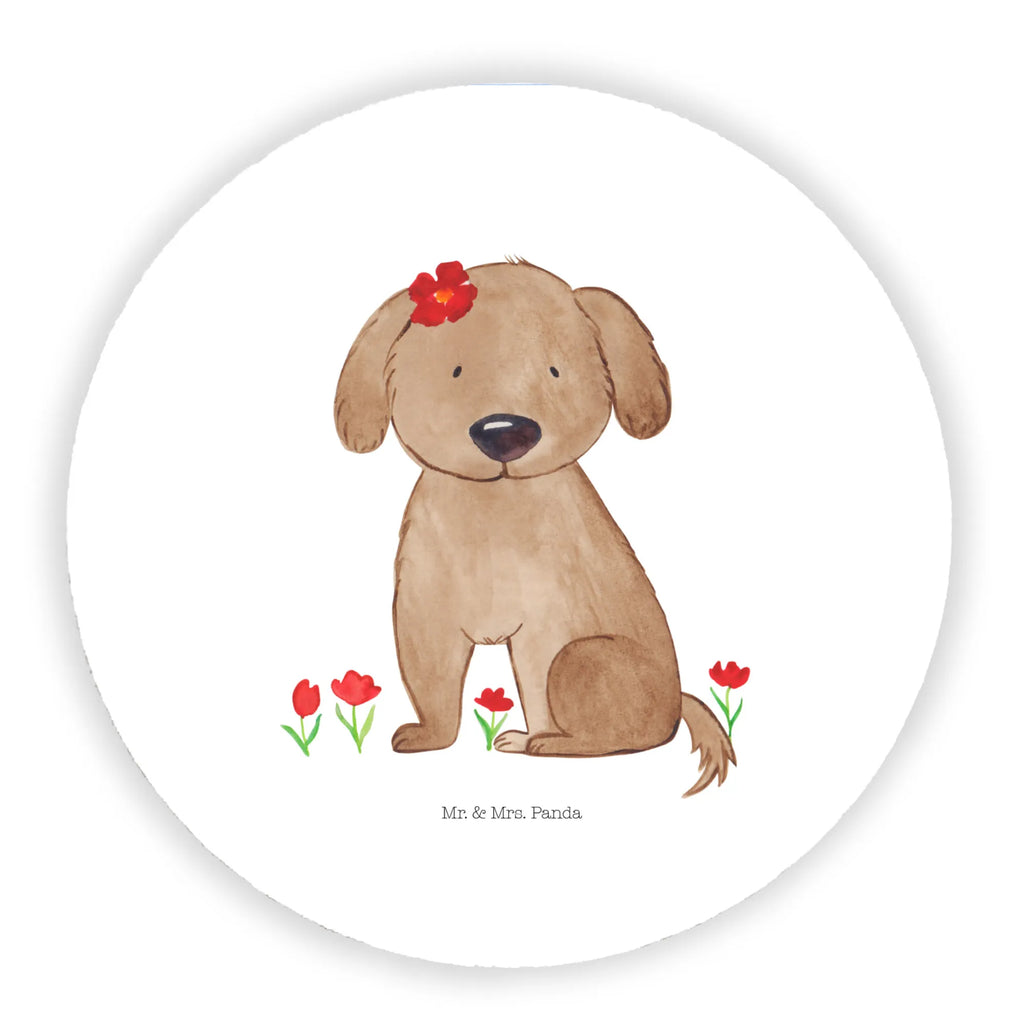 Rund Magnet Hund Hundedame Kühlschrankmagnet, Pinnwandmagnet, Souvenir Magnet, Motivmagnete, Dekomagnet, Whiteboard Magnet, Notiz Magnet, Kühlschrank Dekoration, Hund, Hundemotiv, Haustier, Hunderasse, Tierliebhaber, Hundebesitzer, Sprüche, Hunde, Hundeliebe, Hundeglück, Liebe, Frauchen