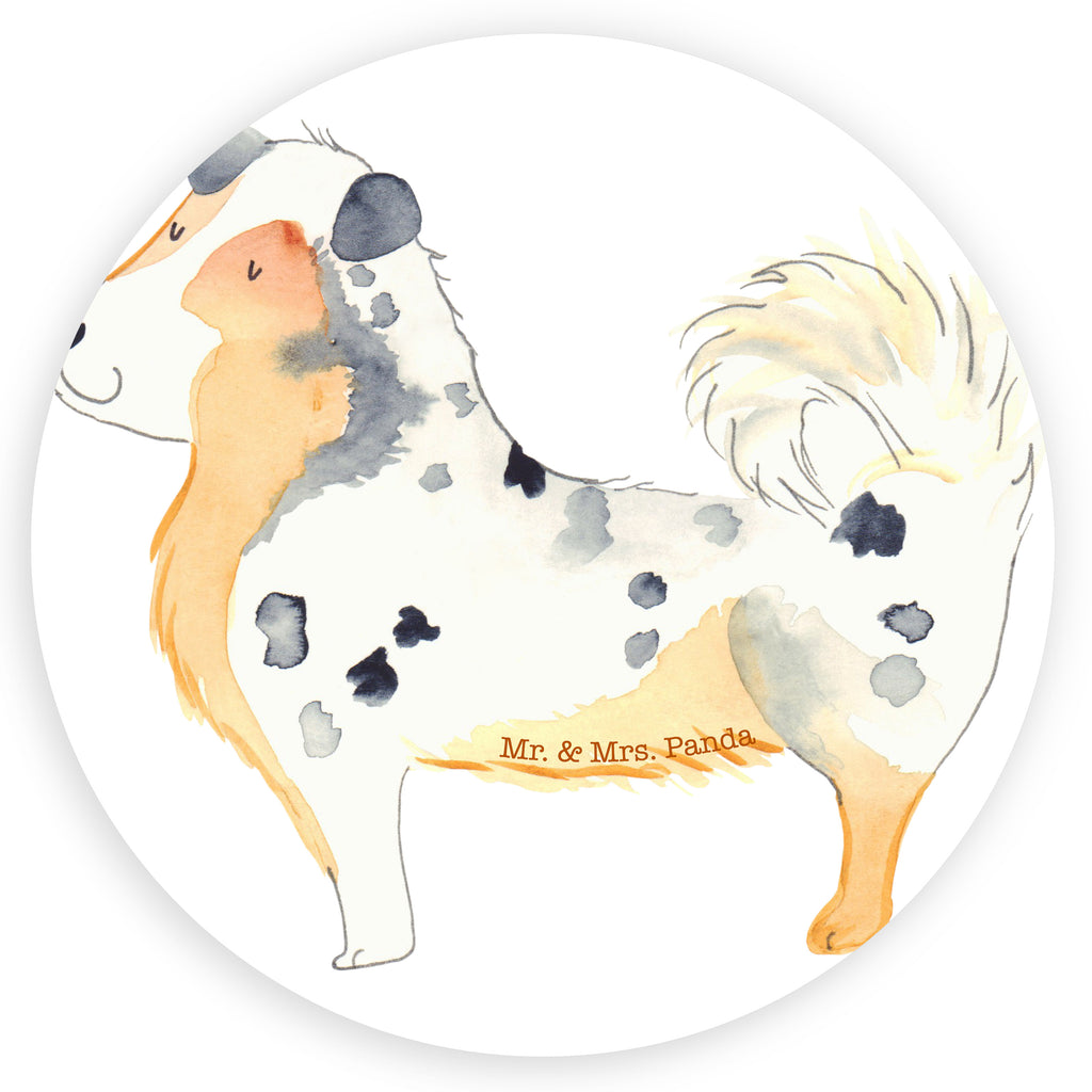 Rund Aufkleber Australien Shepherd Sticker, Aufkleber, Etikett, Hund, Hundemotiv, Haustier, Hunderasse, Tierliebhaber, Hundebesitzer, Sprüche, Australien Shepherd, Shepherd, Hundeliebe, Familienhund, Spruch