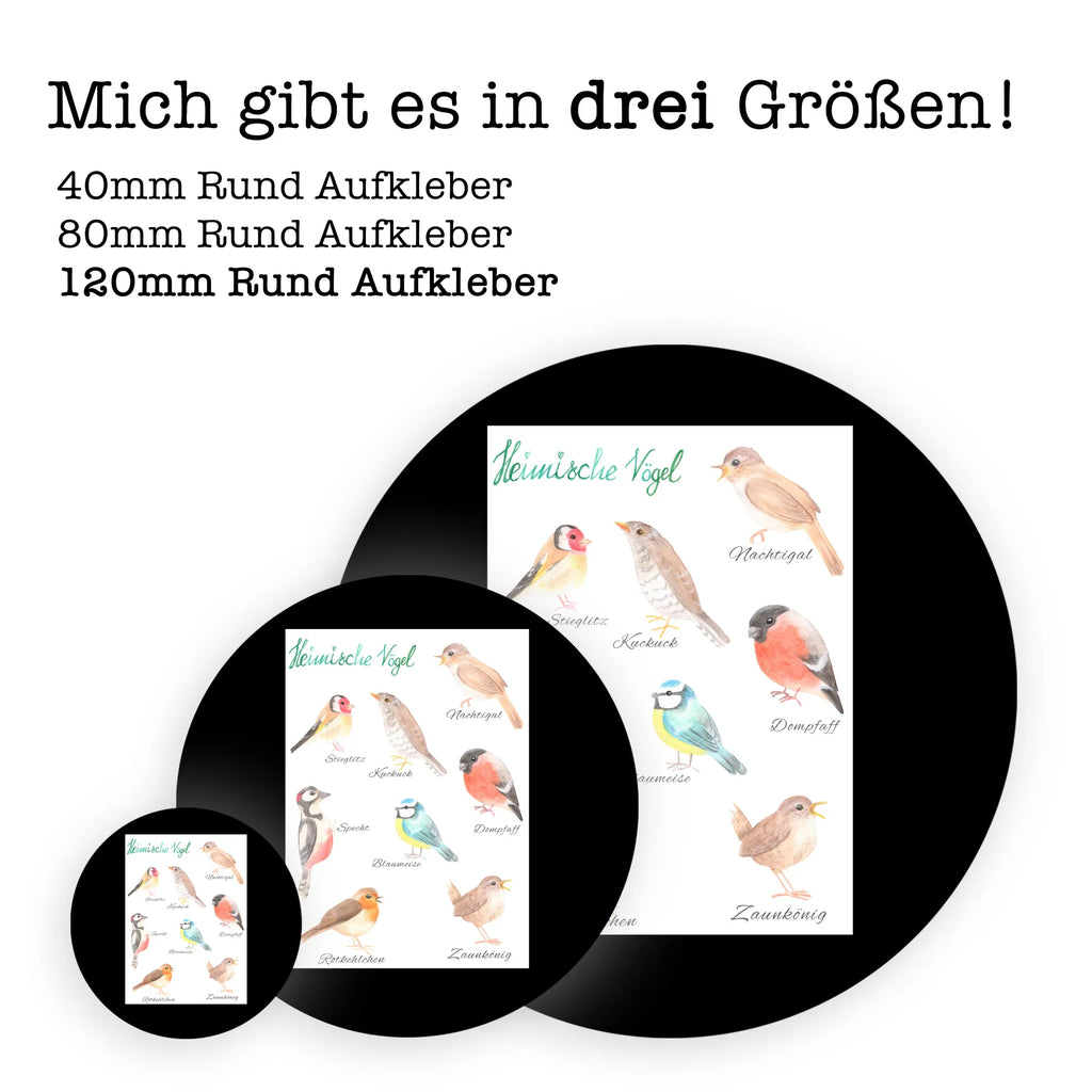 Rund Aufkleber Heimische Vögel Sticker, Aufkleber, Etikett, Kinder, rund, Blumen Deko, Frühlings Deko, Sommer Deko, Dekoration, positive Botschaft, Naturliebhaber, Outdoor, Natur, Abenteuer, Vögel, Heimische Vögel