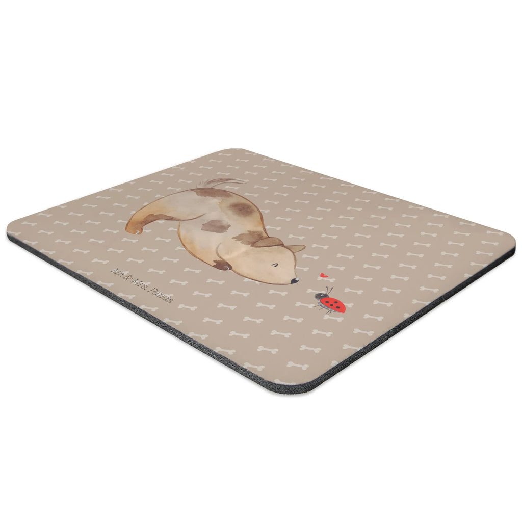 Mauspad Hund Marienkäfer Mousepad, Computer zubehör, Büroausstattung, PC Zubehör, Arbeitszimmer, Mauspad, Einzigartiges Mauspad, Designer Mauspad, Mausunterlage, Mauspad Büro, Hund, Hundemotiv, Haustier, Hunderasse, Tierliebhaber, Hundebesitzer, Sprüche, Hunde, Hundespruch, Marienkäfer, Mischling, Mischlinghund