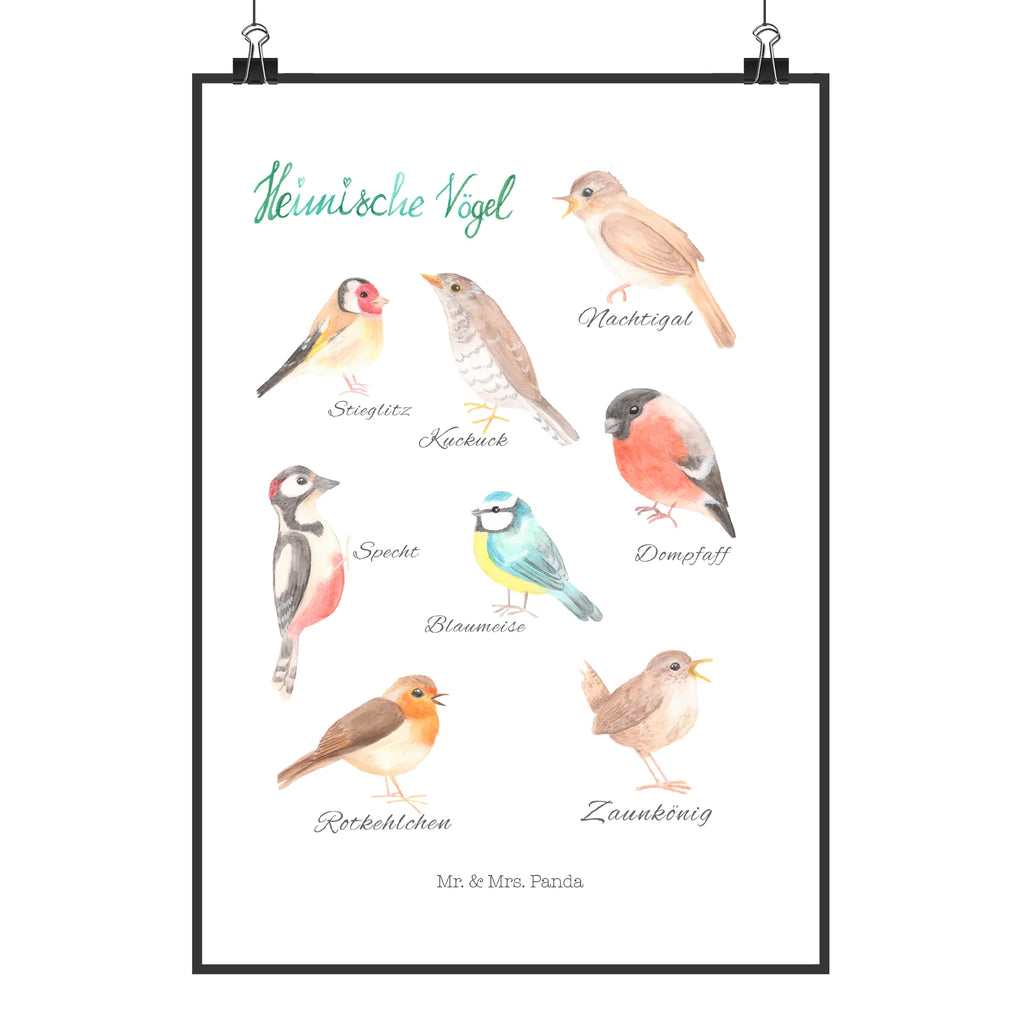 Poster Heimische Vögel Poster, Wandposter, Bild, Wanddeko, Küchenposter, Kinderposter, Wanddeko Bild, Raumdekoration, Wanddekoration, Handgemaltes Poster, Mr. & Mrs. Panda Poster, Designposter, Kunstdruck, Posterdruck, Blumen Deko, Frühlings Deko, Sommer Deko, Dekoration, positive Botschaft, Naturliebhaber, Outdoor, Natur, Abenteuer, Vögel, Heimische Vögel