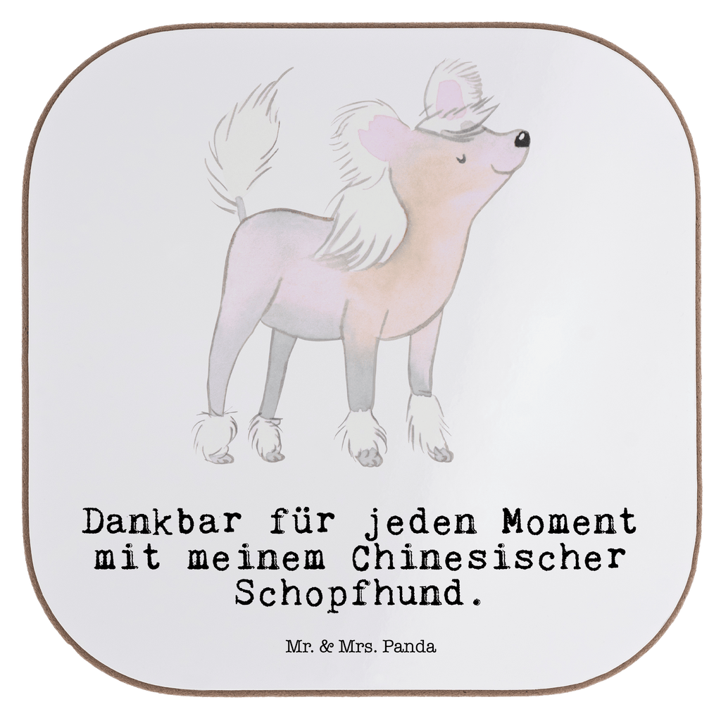 Quadratische Untersetzer Chinesischer Schopfhund Moment Untersetzer, Bierdeckel, Glasuntersetzer, Untersetzer Gläser, Getränkeuntersetzer, Untersetzer aus Holz, Untersetzer für Gläser, Korkuntersetzer, Untersetzer Holz, Holzuntersetzer, Tassen Untersetzer, Untersetzer Design, Hund, Hunderasse, Rassehund, Hundebesitzer, Geschenk, Tierfreund, Schenken, Welpe, Chinesischer Schopfhund, Chinese Crested Dog