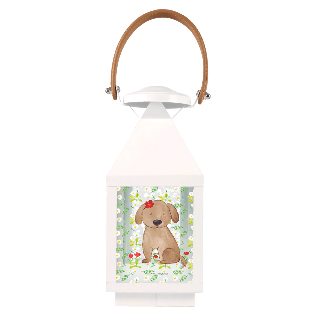 Deko Laterne Hund Hundedame Gartenlampe, Gartenleuchte, Gartendekoration, Gartenlicht, Laterne kleine Laternen, XXL Laternen, Laterne groß, Hund, Hundemotiv, Haustier, Hunderasse, Tierliebhaber, Hundebesitzer, Sprüche, Hunde, Hundeliebe, Hundeglück, Liebe, Frauchen