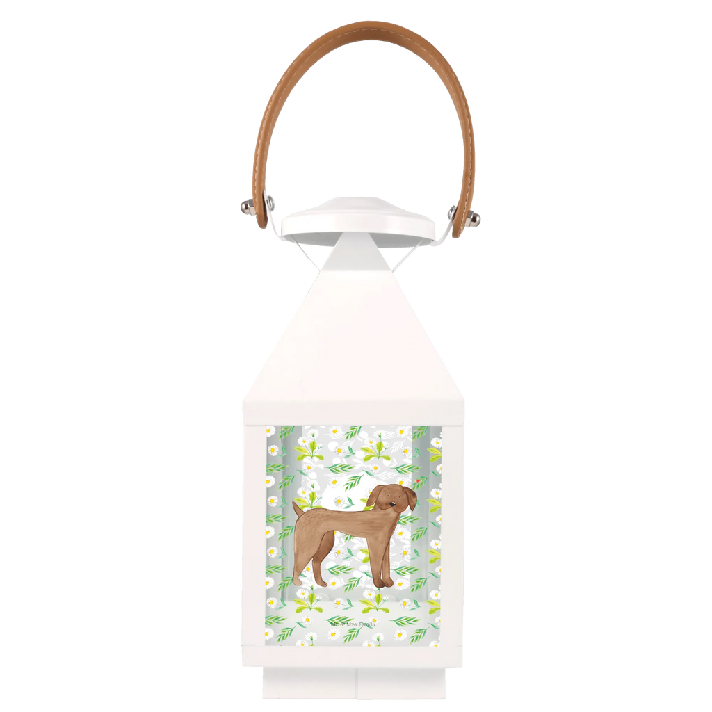 Deko Laterne Hund Dogge Gartenlampe, Gartenleuchte, Gartendekoration, Gartenlicht, Laterne kleine Laternen, XXL Laternen, Laterne groß, Hund, Hundemotiv, Haustier, Hunderasse, Tierliebhaber, Hundebesitzer, Sprüche, Hunde, Dogge, Deutsche Dogge, Great Dane