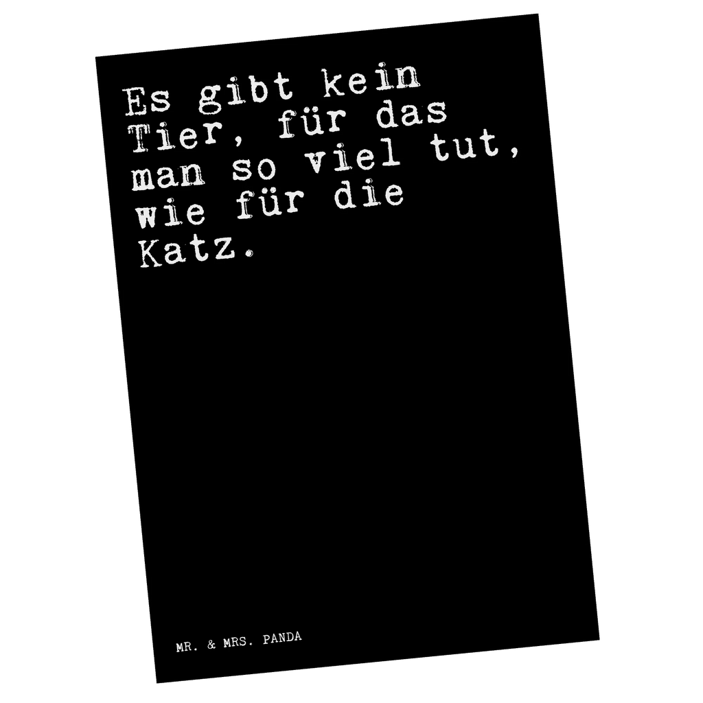 Postkarte Sprüche und Zitate Es gibt kein Tier, für das man so viel tut, wie für die Katz. Postkarte, Karte, Geschenkkarte, Grußkarte, Einladung, Ansichtskarte, Geburtstagskarte, Einladungskarte, Dankeskarte, Ansichtskarten, Einladung Geburtstag, Einladungskarten Geburtstag, Spruch, Sprüche, lustige Sprüche, Weisheiten, Zitate, Spruch Geschenke, Spruch Sprüche Weisheiten Zitate Lustig Weisheit Worte