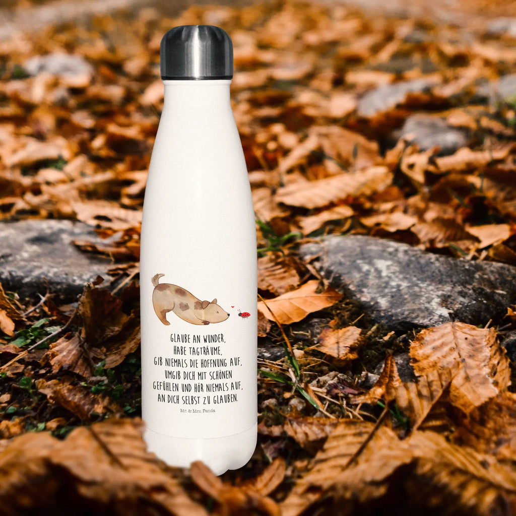 Thermosflasche Hund Marienkäfer Isolierflasche, Thermoflasche, Trinkflasche, Thermos, Edelstahl, Hund, Hundemotiv, Haustier, Hunderasse, Tierliebhaber, Hundebesitzer, Sprüche, Hunde, Hundespruch, Marienkäfer, Mischling, Mischlinghund