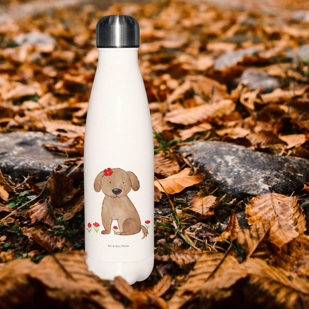 Thermosflasche Hund Hundedame Isolierflasche, Thermoflasche, Trinkflasche, Thermos, Edelstahl, Hund, Hundemotiv, Haustier, Hunderasse, Tierliebhaber, Hundebesitzer, Sprüche, Hunde, Hundeliebe, Hundeglück, Liebe, Frauchen