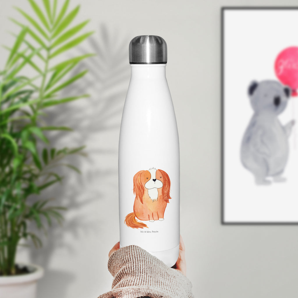 Thermosflasche Cavalier King Charles Spaniel Isolierflasche, Thermoflasche, Trinkflasche, Thermos, Edelstahl, Hund, Hundemotiv, Haustier, Hunderasse, Tierliebhaber, Hundebesitzer, Sprüche, Cavalier King Charles Spaniel, Cockerspaniel, Spaniel, Spruch, schönster Hund