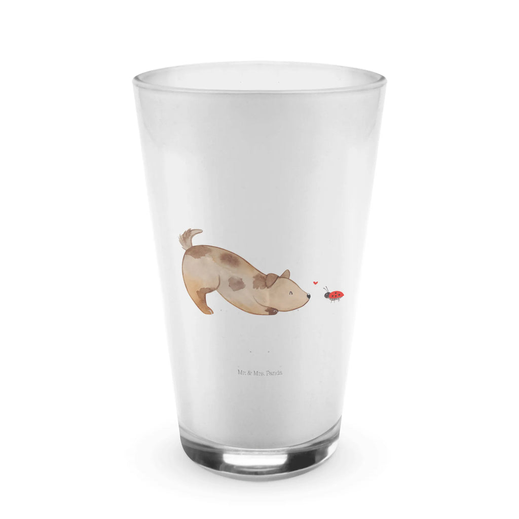 Glas Hund Marienkäfer Cappuccino Glas, Glas, Cappuccino Tasse, Latte Macchiato, Hund, Hundemotiv, Haustier, Hunderasse, Tierliebhaber, Hundebesitzer, Sprüche, Hunde, Hundespruch, Marienkäfer, Mischling, Mischlinghund