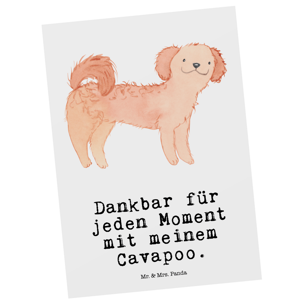 Postkarte Cavapoo Moment Postkarte, Karte, Geschenkkarte, Grußkarte, Einladung, Ansichtskarte, Geburtstagskarte, Einladungskarte, Dankeskarte, Ansichtskarten, Einladung Geburtstag, Einladungskarten Geburtstag, Hund, Hunderasse, Rassehund, Hundebesitzer, Geschenk, Tierfreund, Schenken, Welpe, Cavapoo, Cavoodle