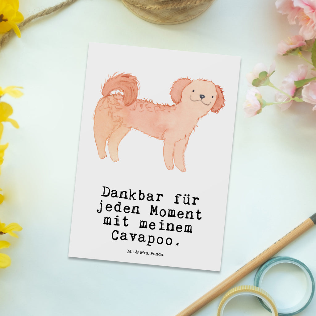 Postkarte Cavapoo Moment Postkarte, Karte, Geschenkkarte, Grußkarte, Einladung, Ansichtskarte, Geburtstagskarte, Einladungskarte, Dankeskarte, Ansichtskarten, Einladung Geburtstag, Einladungskarten Geburtstag, Hund, Hunderasse, Rassehund, Hundebesitzer, Geschenk, Tierfreund, Schenken, Welpe, Cavapoo, Cavoodle