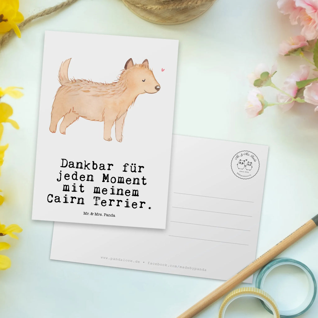 Postkarte Cairn Terrier Moment Postkarte, Karte, Geschenkkarte, Grußkarte, Einladung, Ansichtskarte, Geburtstagskarte, Einladungskarte, Dankeskarte, Ansichtskarten, Einladung Geburtstag, Einladungskarten Geburtstag, Hund, Hunderasse, Rassehund, Hundebesitzer, Geschenk, Tierfreund, Schenken, Welpe, Cairn Terrier