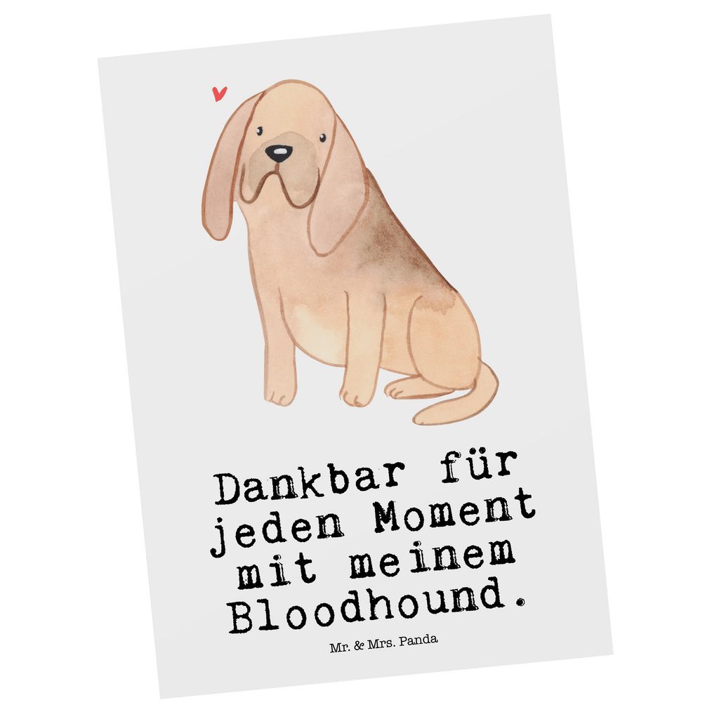 Postkarte Bloodhound Moment Postkarte, Karte, Geschenkkarte, Grußkarte, Einladung, Ansichtskarte, Geburtstagskarte, Einladungskarte, Dankeskarte, Ansichtskarten, Einladung Geburtstag, Einladungskarten Geburtstag, Hund, Hunderasse, Rassehund, Hundebesitzer, Geschenk, Tierfreund, Schenken, Welpe, Bluthund, Bloodhound, St. Hubertushund, Chien de Saint Hubert