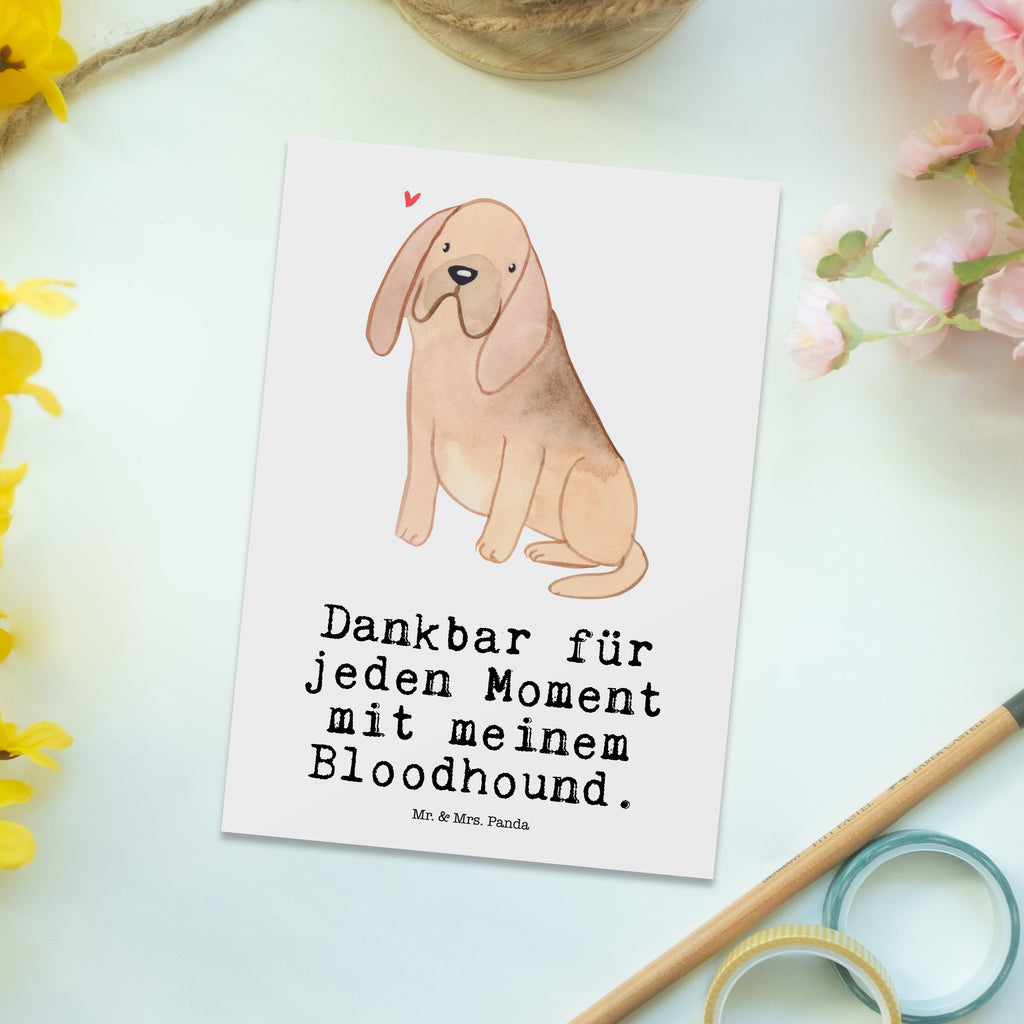 Postkarte Bloodhound Moment Postkarte, Karte, Geschenkkarte, Grußkarte, Einladung, Ansichtskarte, Geburtstagskarte, Einladungskarte, Dankeskarte, Ansichtskarten, Einladung Geburtstag, Einladungskarten Geburtstag, Hund, Hunderasse, Rassehund, Hundebesitzer, Geschenk, Tierfreund, Schenken, Welpe, Bluthund, Bloodhound, St. Hubertushund, Chien de Saint Hubert