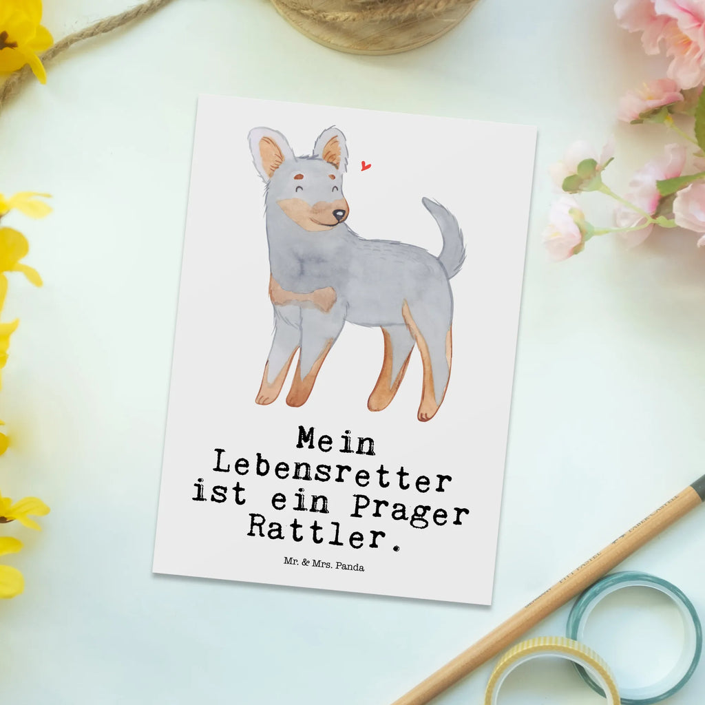 Postkarte Prager Rattler Lebensretter Postkarte, Karte, Geschenkkarte, Grußkarte, Einladung, Ansichtskarte, Geburtstagskarte, Einladungskarte, Dankeskarte, Ansichtskarten, Einladung Geburtstag, Einladungskarten Geburtstag, Hund, Hunderasse, Rassehund, Hundebesitzer, Geschenk, Tierfreund, Schenken, Welpe, Pincher, Prager Rattler