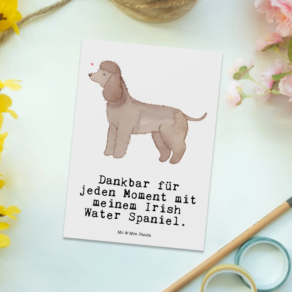 Postkarte Irish Water Spaniel Moment Postkarte, Karte, Geschenkkarte, Grußkarte, Einladung, Ansichtskarte, Geburtstagskarte, Einladungskarte, Dankeskarte, Ansichtskarten, Einladung Geburtstag, Einladungskarten Geburtstag, Hund, Hunderasse, Rassehund, Hundebesitzer, Geschenk, Tierfreund, Schenken, Welpe, Irish Water Spaniel, Jagdhund