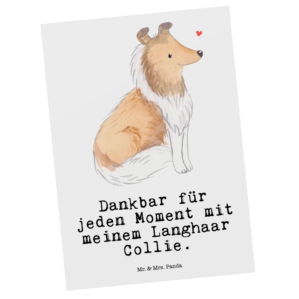 Postkarte Langhaar Collie Moment Postkarte, Karte, Geschenkkarte, Grußkarte, Einladung, Ansichtskarte, Geburtstagskarte, Einladungskarte, Dankeskarte, Ansichtskarten, Einladung Geburtstag, Einladungskarten Geburtstag, Hund, Hunderasse, Rassehund, Hundebesitzer, Geschenk, Tierfreund, Schenken, Welpe, Langhaar Collie, britischer Hütehund