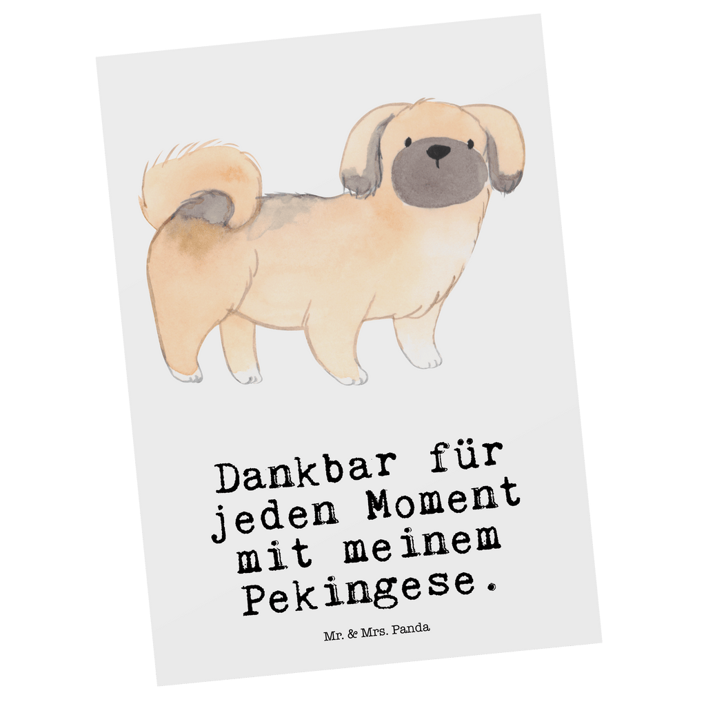 Postkarte Pekingese Moment Postkarte, Karte, Geschenkkarte, Grußkarte, Einladung, Ansichtskarte, Geburtstagskarte, Einladungskarte, Dankeskarte, Ansichtskarten, Einladung Geburtstag, Einladungskarten Geburtstag, Hund, Hunderasse, Rassehund, Hundebesitzer, Geschenk, Tierfreund, Schenken, Welpe, Pekingese, Pekinese, Peking-Palasthund