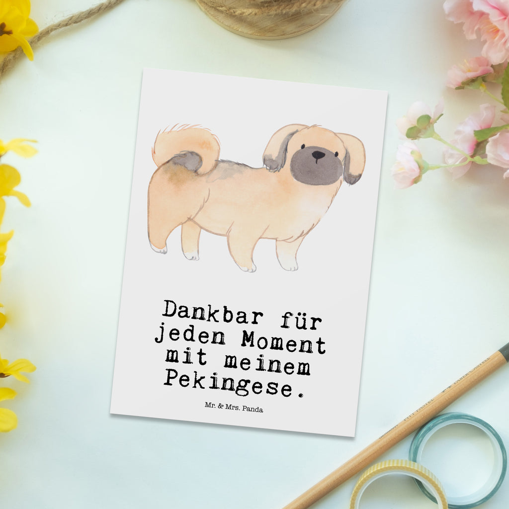 Postkarte Pekingese Moment Postkarte, Karte, Geschenkkarte, Grußkarte, Einladung, Ansichtskarte, Geburtstagskarte, Einladungskarte, Dankeskarte, Ansichtskarten, Einladung Geburtstag, Einladungskarten Geburtstag, Hund, Hunderasse, Rassehund, Hundebesitzer, Geschenk, Tierfreund, Schenken, Welpe, Pekingese, Pekinese, Peking-Palasthund