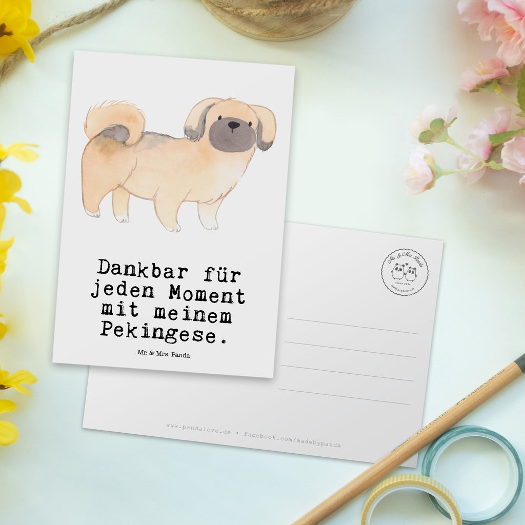 Postkarte Pekingese Moment Postkarte, Karte, Geschenkkarte, Grußkarte, Einladung, Ansichtskarte, Geburtstagskarte, Einladungskarte, Dankeskarte, Ansichtskarten, Einladung Geburtstag, Einladungskarten Geburtstag, Hund, Hunderasse, Rassehund, Hundebesitzer, Geschenk, Tierfreund, Schenken, Welpe, Pekingese, Pekinese, Peking-Palasthund