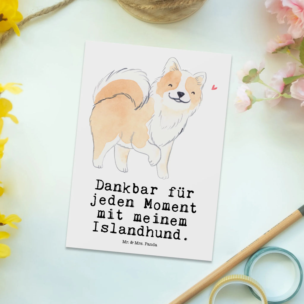 Postkarte Islandhund Moment Postkarte, Karte, Geschenkkarte, Grußkarte, Einladung, Ansichtskarte, Geburtstagskarte, Einladungskarte, Dankeskarte, Ansichtskarten, Einladung Geburtstag, Einladungskarten Geburtstag, Hund, Hunderasse, Rassehund, Hundebesitzer, Geschenk, Tierfreund, Schenken, Welpe, Islandhund, isländischer Schäferhund