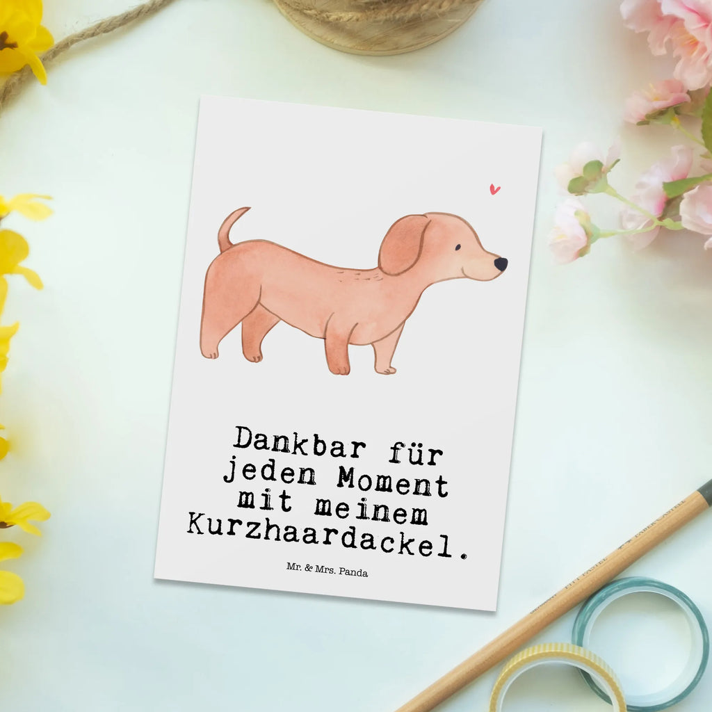 Postkarte Dackel Kurzhaardackel Moment Postkarte, Karte, Geschenkkarte, Grußkarte, Einladung, Ansichtskarte, Geburtstagskarte, Einladungskarte, Dankeskarte, Ansichtskarten, Einladung Geburtstag, Einladungskarten Geburtstag, Hund, Hunderasse, Rassehund, Hundebesitzer, Geschenk, Tierfreund, Schenken, Welpe, Teckel, Dachshund, Kurzhaardackel