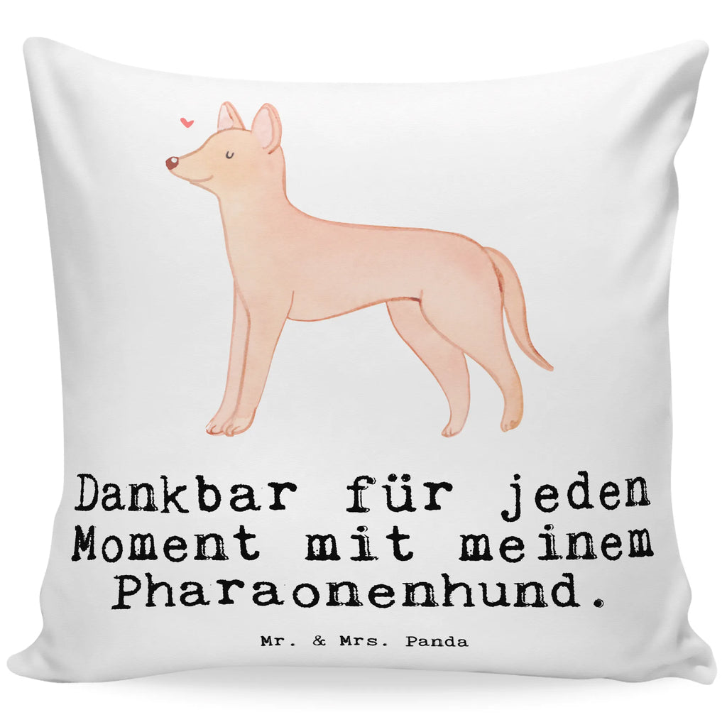 40x40 Kissen Pharaonenhund Moment Kissenhülle, Kopfkissen, Sofakissen, Dekokissen, Motivkissen, sofakissen, sitzkissen, Kissen, Kissenbezüge, Kissenbezug 40x40, Kissen 40x40, Kissenhülle 40x40, Zierkissen, Couchkissen, Dekokissen Sofa, Sofakissen 40x40, Dekokissen 40x40, Kopfkissen 40x40, Kissen 40x40 Waschbar, Hund, Hunderasse, Rassehund, Hundebesitzer, Geschenk, Tierfreund, Schenken, Welpe, Pharaonenhund, Pharaoh Hound, Kelb tal-Fenek