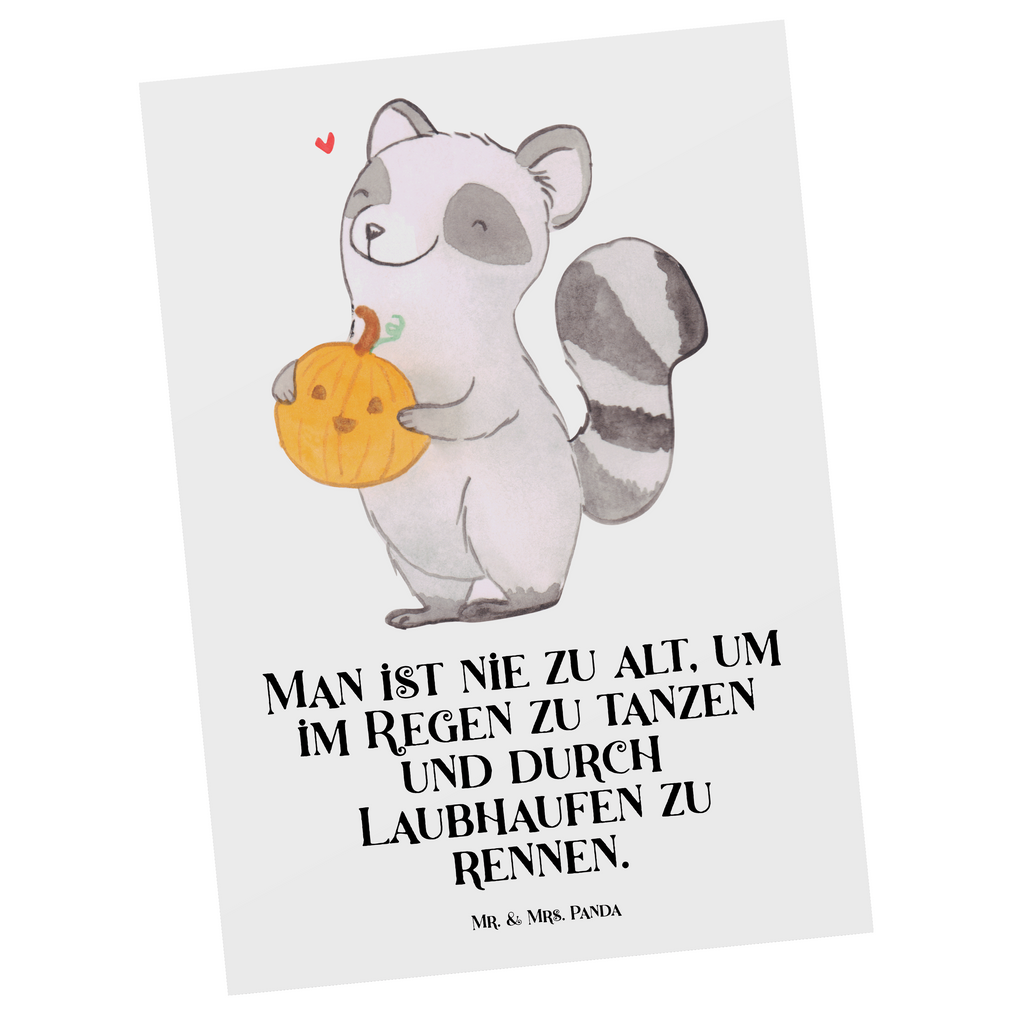 Postkarte Waschbär Kürbis Postkarte, Karte, Geschenkkarte, Grußkarte, Einladung, Ansichtskarte, Geburtstagskarte, Einladungskarte, Dankeskarte, Ansichtskarten, Einladung Geburtstag, Einladungskarten Geburtstag, Halloween, Deko, Martinssingen, Dekoration, Geschenke, Schenken, Halloween Deko, Trick or Treat, Süßes sonst gibt's saures, Waschbär, Kürbis