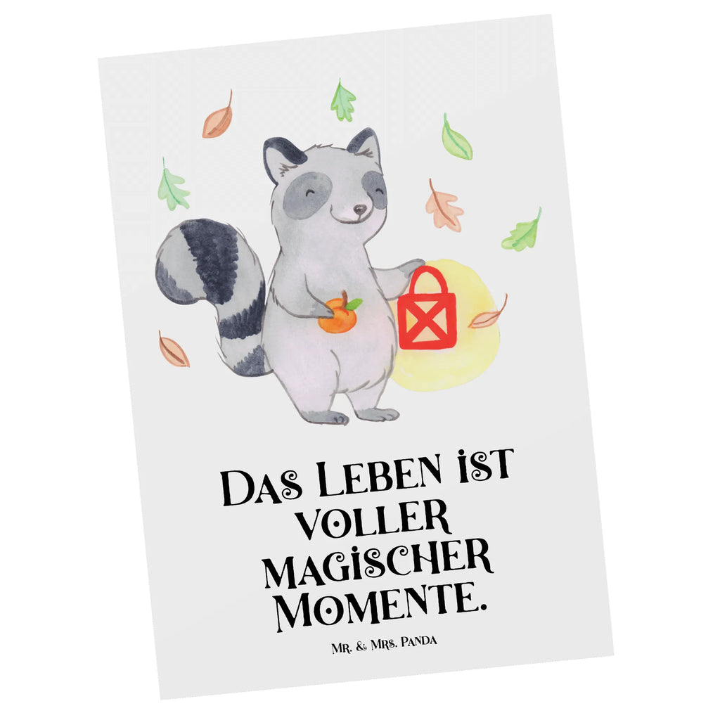 Postkarte Waschbär Laterne Postkarte, Karte, Geschenkkarte, Grußkarte, Einladung, Ansichtskarte, Geburtstagskarte, Einladungskarte, Dankeskarte, Ansichtskarten, Einladung Geburtstag, Einladungskarten Geburtstag, Halloween, Deko, Martinssingen, Dekoration, Geschenke, Schenken, Halloween Deko, Trick or Treat, Süßes sonst gibt's saures, Waschbär, Laterne, Herbst