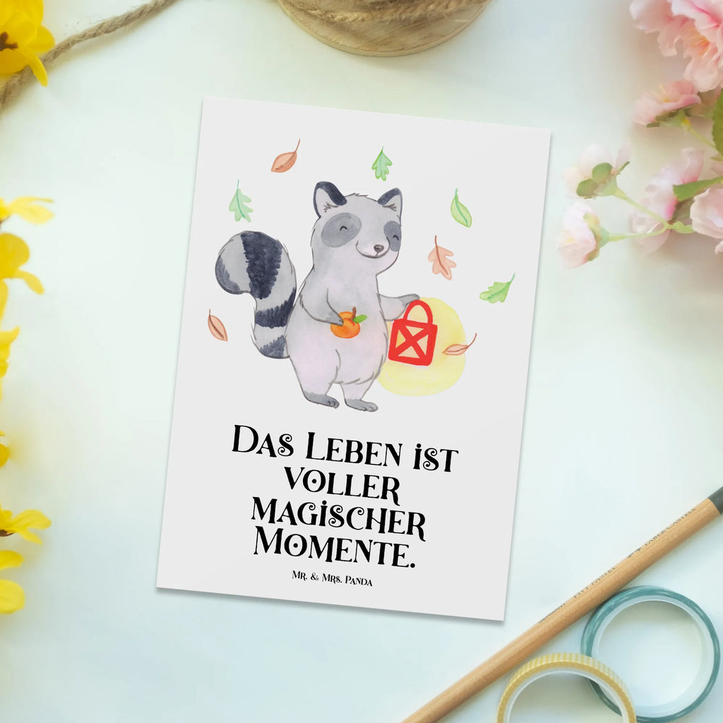 Postkarte Waschbär Laterne Postkarte, Karte, Geschenkkarte, Grußkarte, Einladung, Ansichtskarte, Geburtstagskarte, Einladungskarte, Dankeskarte, Ansichtskarten, Einladung Geburtstag, Einladungskarten Geburtstag, Halloween, Deko, Martinssingen, Dekoration, Geschenke, Schenken, Halloween Deko, Trick or Treat, Süßes sonst gibt's saures, Waschbär, Laterne, Herbst