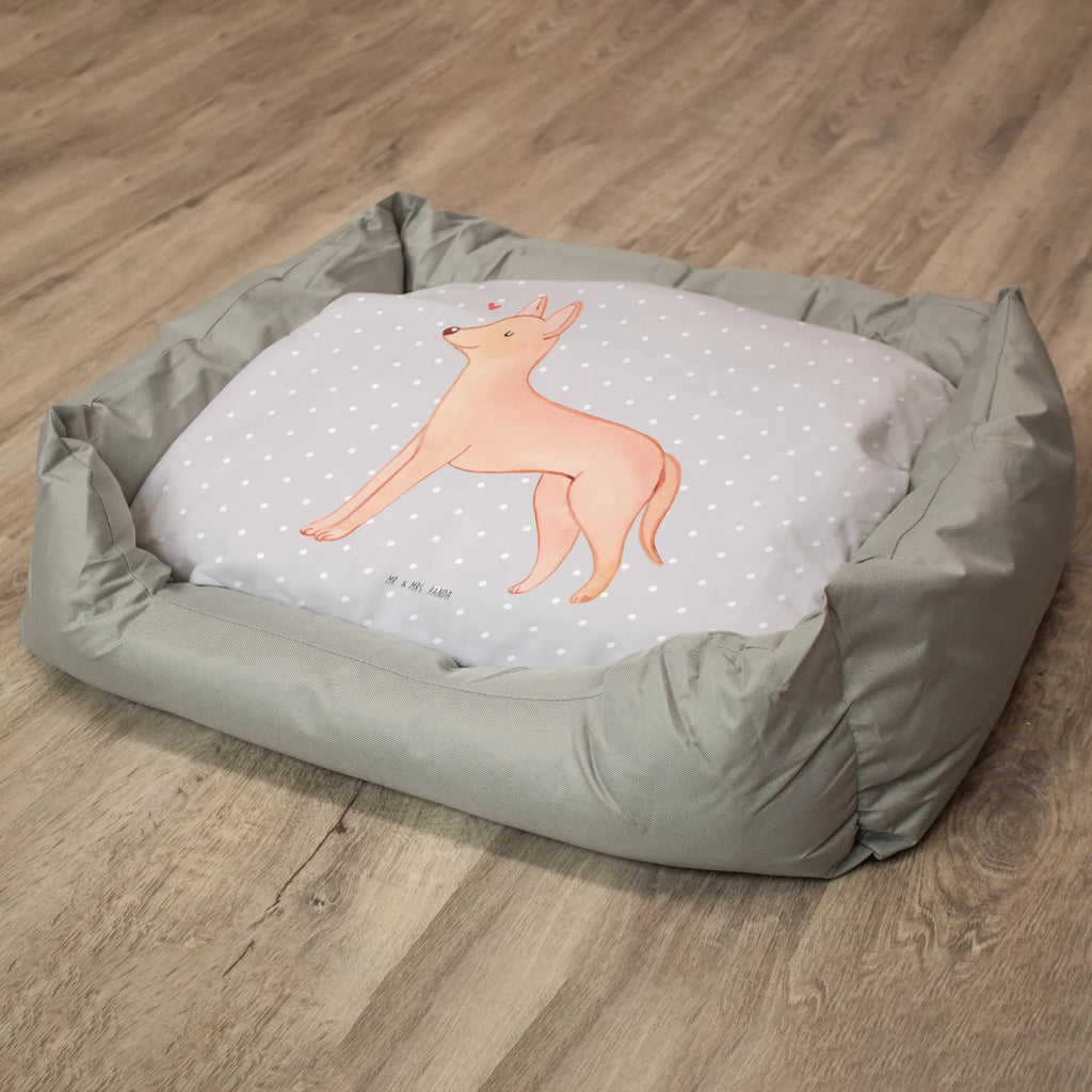 Hundebett Pharaonenhund Lebensretter Hundebett, Hundeliege, Liegeplatz, Hund, Hundekörbchen, Körbchen, Tierbett, Hundebett Luxus, Hundekissen, Hundesofa, Hundeschlafplatz, Hundebettchen, Hundemöbel, Hundedecke, Hunderasse, Rassehund, Hundebesitzer, Geschenk, Tierfreund, Schenken, Welpe, Pharaonenhund, Pharaoh Hound, Kelb tal-Fenek