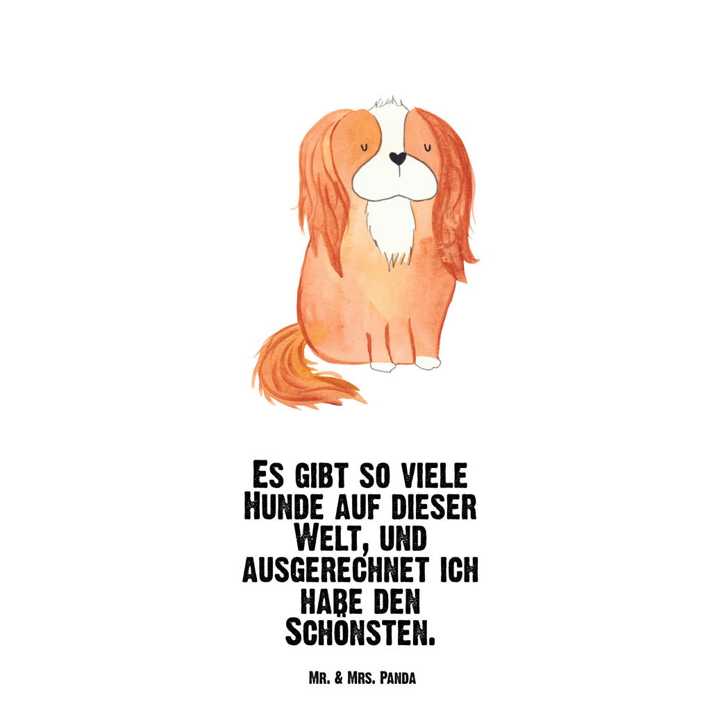 Trinkflasche Hund Cavalier King Charles Spaniel Thermosflasche, Isolierflasche, Edelstahl, Trinkflasche, isoliert, Wamrhaltefunktion, Sportflasche, Flasche zum Sport, Sportlerflasche, Hund, Hundemotiv, Haustier, Hunderasse, Tierliebhaber, Hundebesitzer, Sprüche, Cavalier King Charles Spaniel, Cockerspaniel, Spaniel, Spruch, schönster Hund